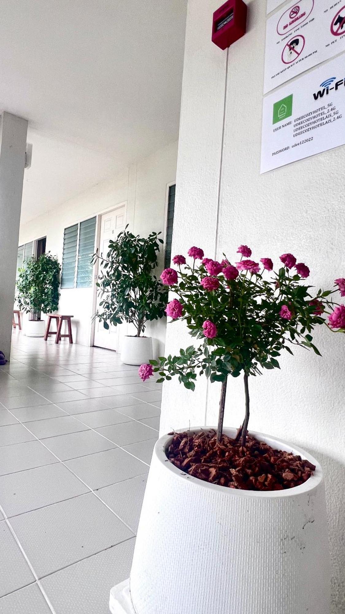 Udee Cozy Hotel Chiang Mai Bagian luar foto